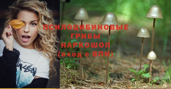 spice Волоколамск