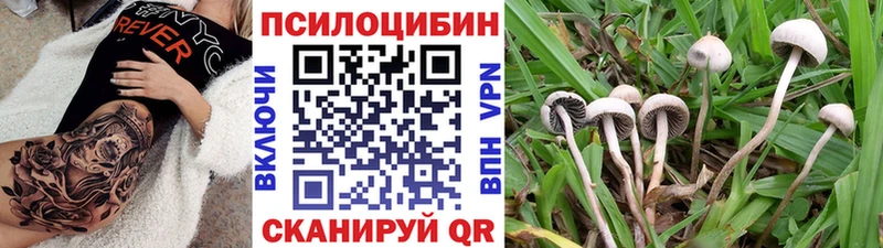 Галлюциногенные грибы Psilocybine cubensis  blacksprut зеркало  Бугульма  купить закладку 