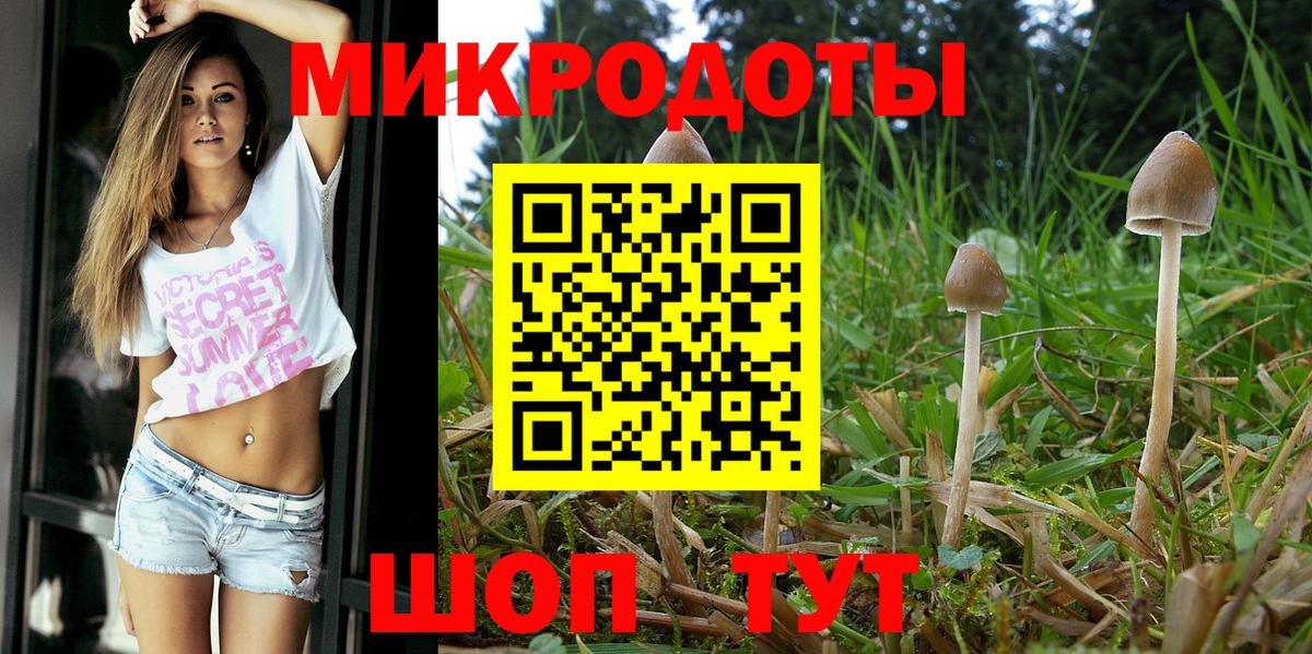 Псилоцибиновые грибы ЛСД Бугульма