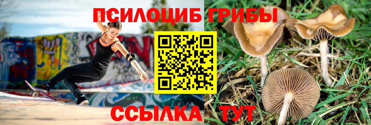 Бугульма  где купить наркотик  Псилоцибиновые грибы Psilocybe  Вход с VPN  Галлюциногенные грибы прущие грибы 